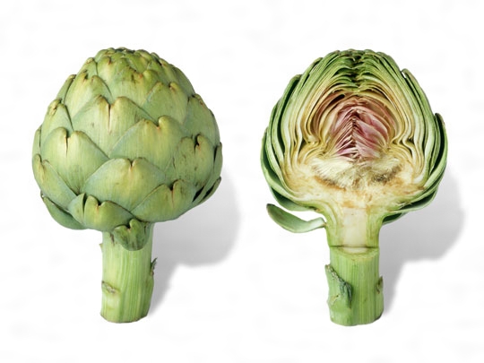 西洋野菜の魅力を徹底解説！料理のバリエーションや栄養価食べレア北海道北海道の食材お取り寄せ通販サイト