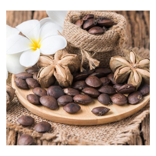 殻付き塩ローストカシューナッツ 900gの通販・個人輸入代行販売商品 - vietnam porter