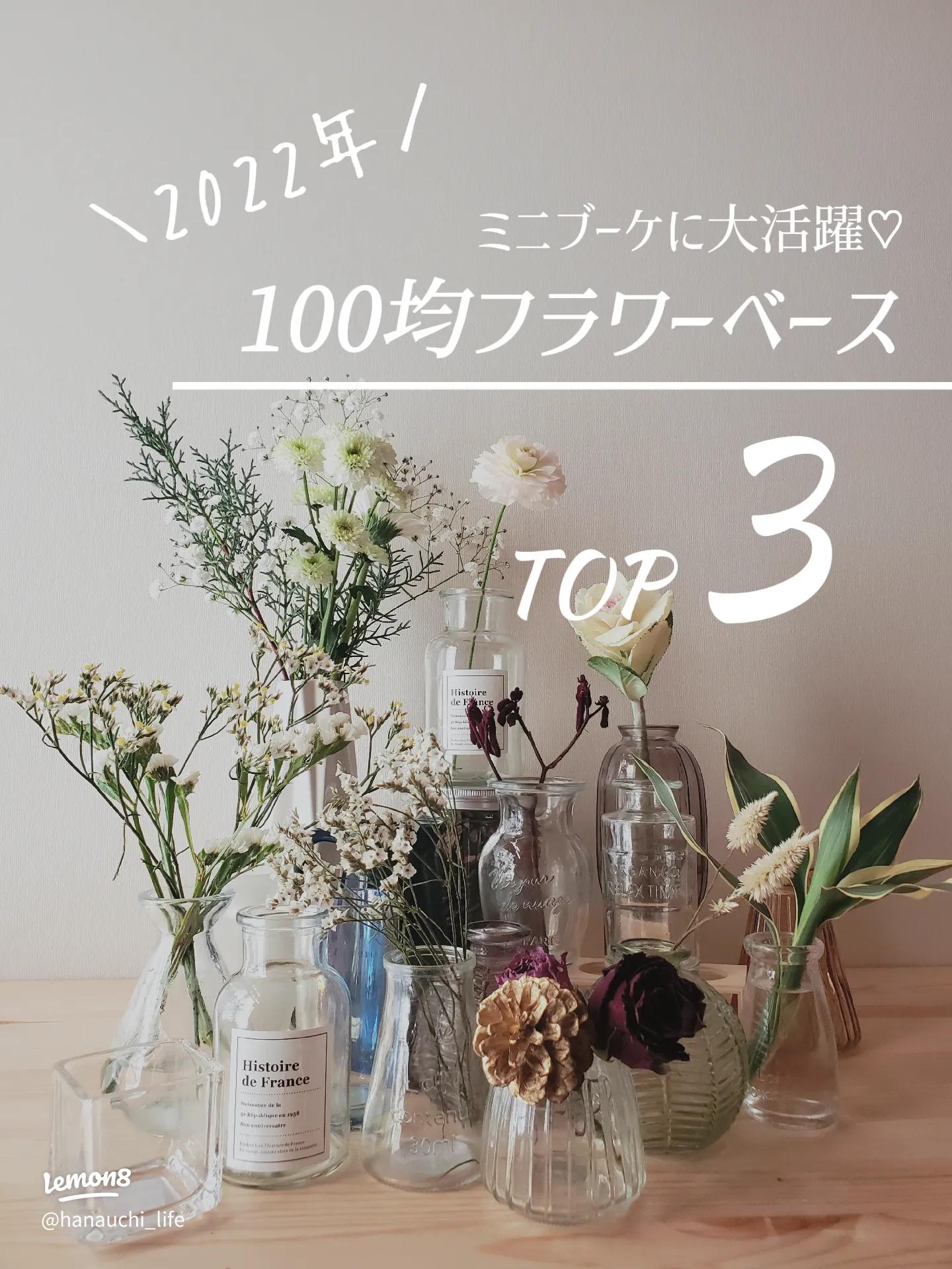 200円で簡単DIY♪人気のボトルフラワーの作り方！Carrière Ailes
