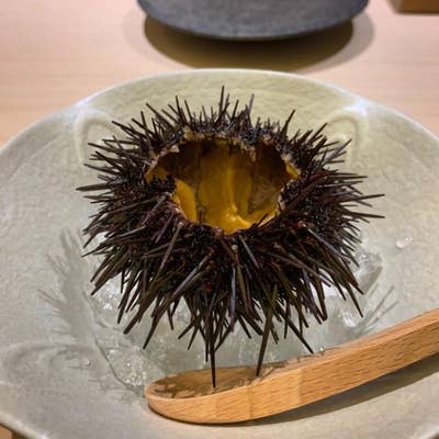 すし 陸 青山 寿司- Retty レッティ