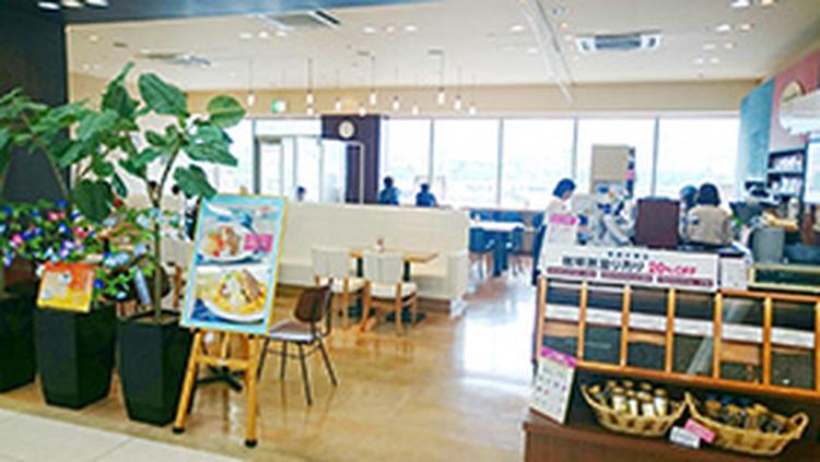 レストランカフェ彩軽音サークル合宿 使っていただいてます♬♬♬ 若いエネルギーステキ～ 去年 合宿予定でしたが、台風で💦 泣結局、台風は来なかった💦 その時の幹事さんとやりとりをとても して、お互いに『 泣 』 後輩方が去年を引き継ぎ、その先輩も一緒に