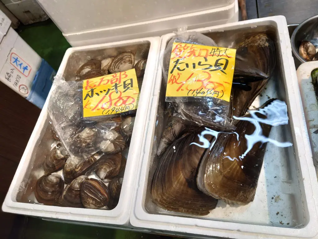 日間賀島産❗️ 貝が旬旨味抜群 『平貝‼︎』6枚‼︎下処理をして、特大貝柱、紐、玉を分けてお送り致します。：愛知県産の魚介類食べチョク産地直送 産直 お取り寄せ通販- 農家・漁師から旬の食材を直送