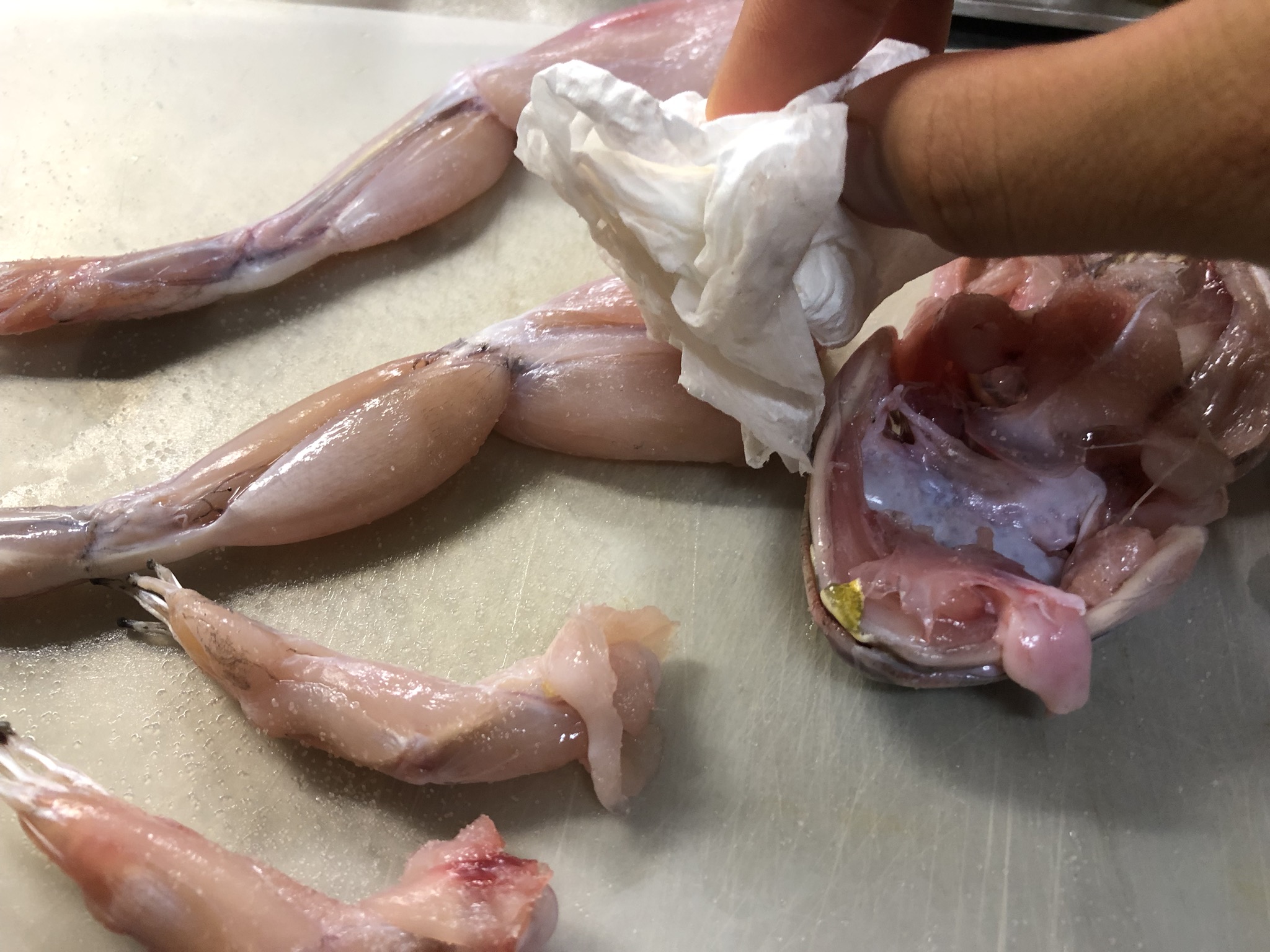 ベトナムのカエル肉は日本のラム肉くらいのポジション :: デイリーポータルZ