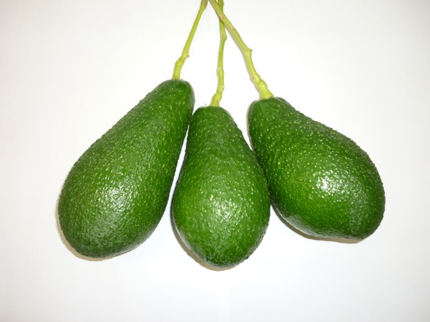 楽天市場今期は販売終了 愛媛県興居島産濃厚アボカド 約1kg1月中旬～3月下旬頃発送予定順ちゃん農園楽天ファームこだわり農家直送 : 楽天ファーム楽天市場店