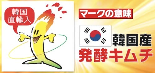 日本のキムチは発酵していないのか？黄さんの手造りキムチ高麗食品