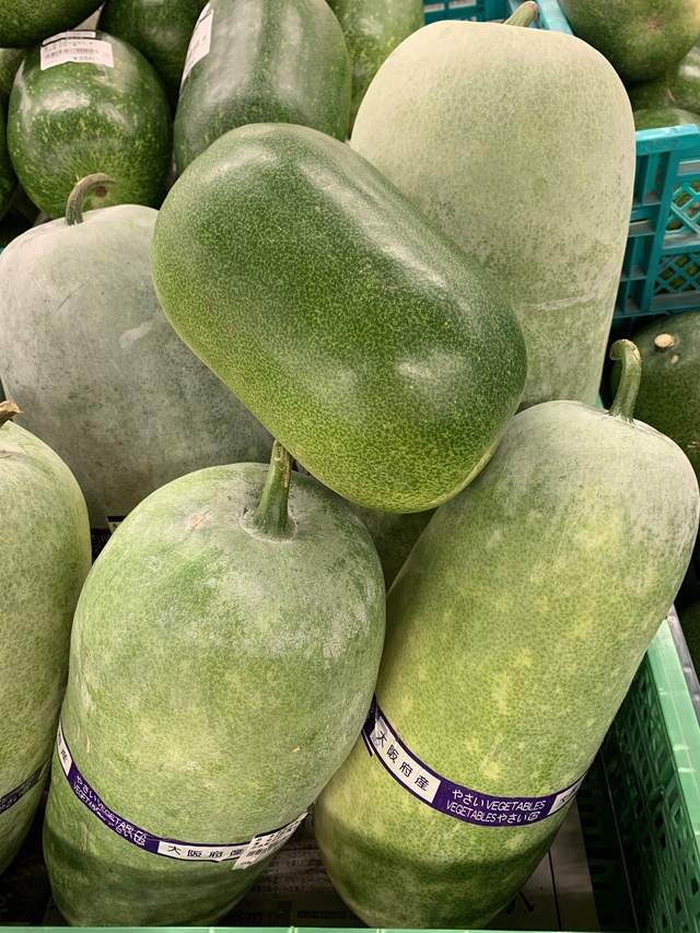 夏野菜 冬瓜 とうがん は家庭でも栽培できる！ 育て方のポイントやおすすめの食べ方をご紹介GardenStoryガーデンストーリー