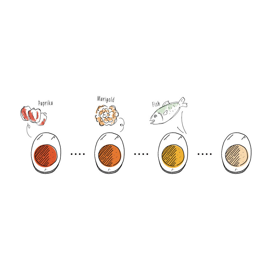 たまごの実験室│花兄園