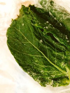 しその保存 青じそ・赤しそ・しその実のおいしさを長持ちさせるには。大葉との違いや、しそジュースの作り方もHugKum はぐくむ