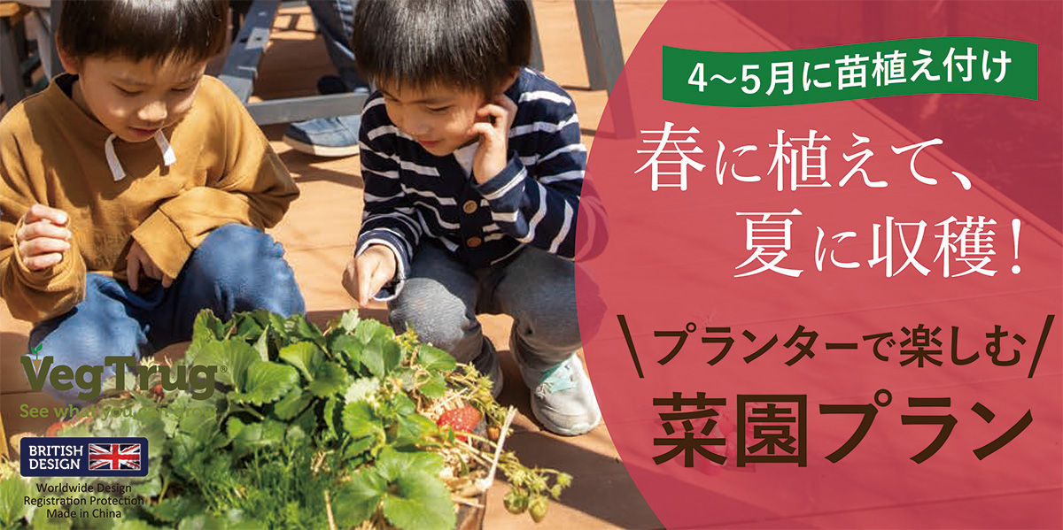 家庭菜園初心者がプランター栽培を始める方法！有機栽培での育て方も紹介有機野菜とだいじなはなしみっくすなっつ アイチョイスのWEBマガジン