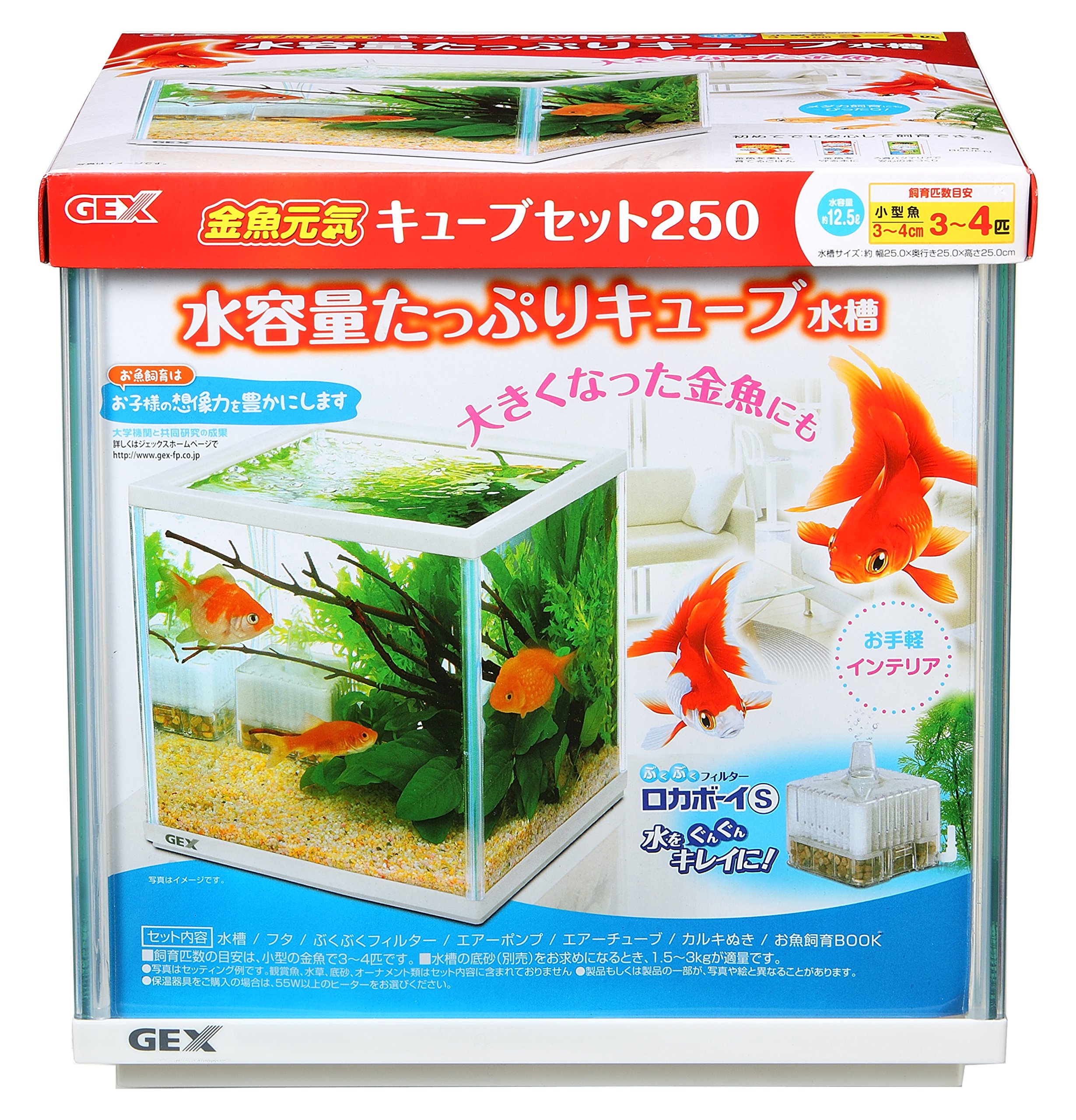 子供向け金魚を飼うのに必要なものが揃う！フィルター付きなど飼育セットのおすすめランキング野に行く