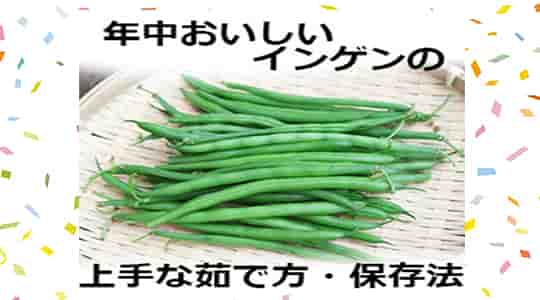 いんげんの筋の取り方！下ごしらえ・下処理方法！食べ方や切り方は？健康♡料理♡美容♡恋愛