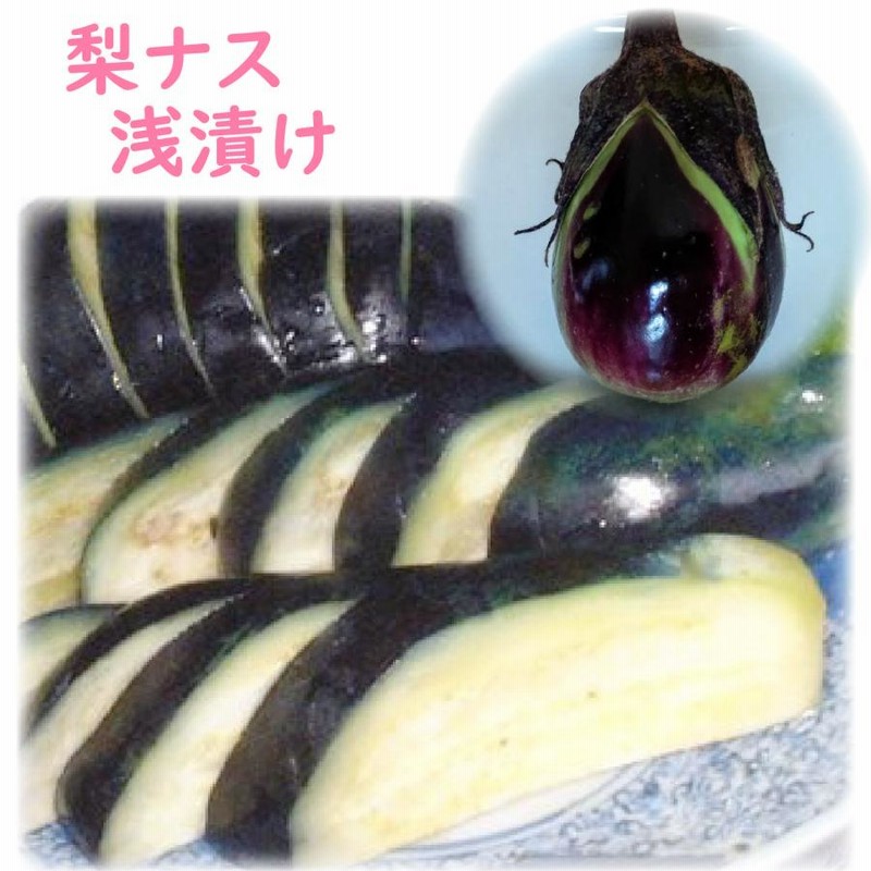 茄子の浅漬けの作り方 ミョウバンを使って色良く鮮やかに☆保存袋で揉むだけ☆簡単本格レシピ Coris cooking