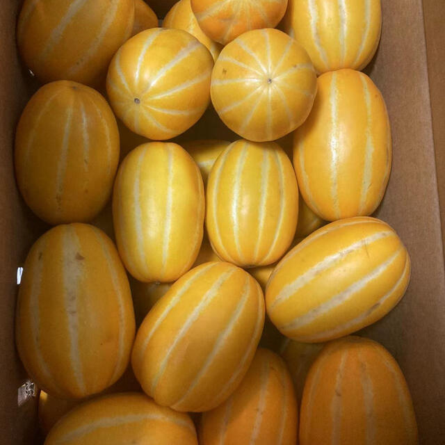 素材ダウンロード心にチクっとささるワードで作る「ちくわPOP ちくわぽっぷ 」農産物直売所やスーパーの青果売り場の活性化に！農に特化したPOPが無料