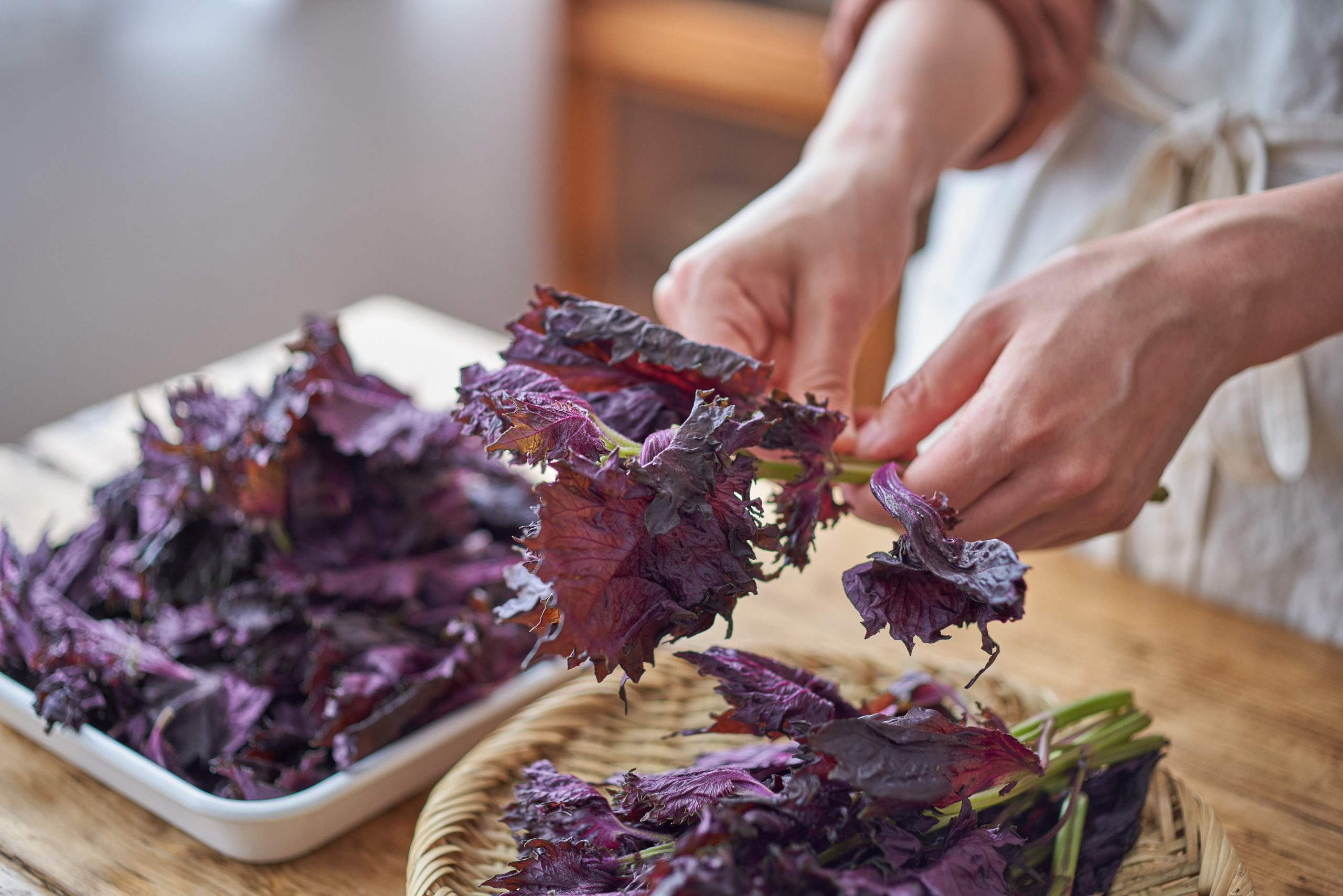 しその実の塩漬けの作り方