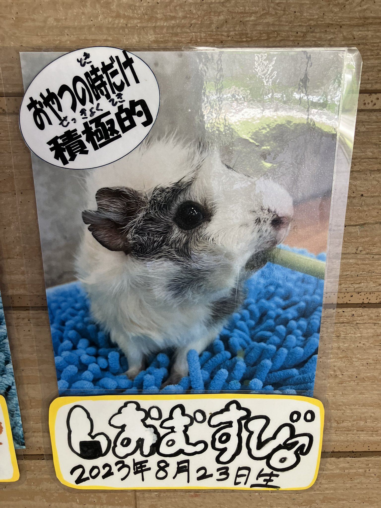 山が恋しすぎて山の名前のつく食べ物を買っむーさんさんのモーメントYAMAPヤマップ