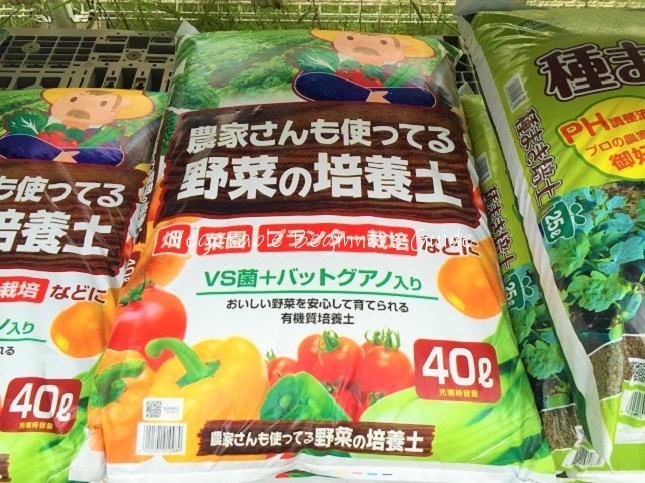 のらぼう菜の栽培 摘心 ：収穫時期に向けて摘心します - YouTube