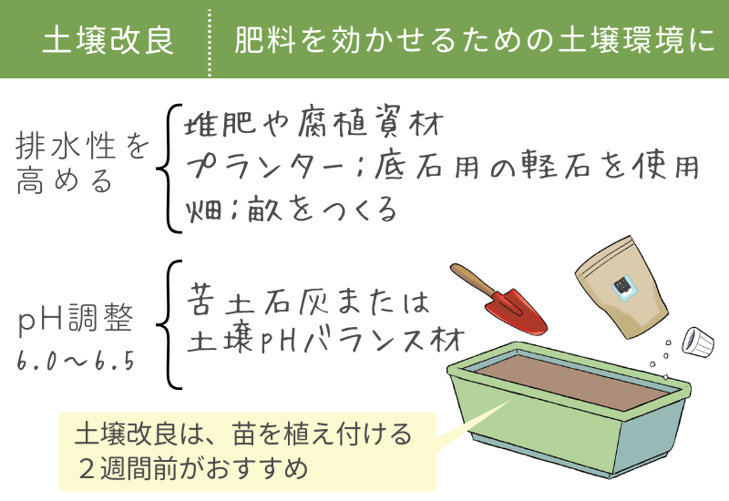 スイカの育て方・栽培方法 植え方やお手入れのコツやポイントまで。通販 - ディノス