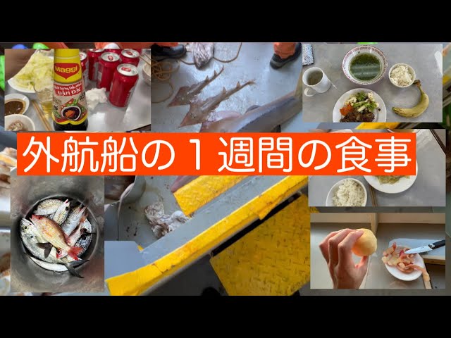前編＞「食」のにっぽん丸 総料理長に聞く！惹きつける料理の秘密とはたびこふれ