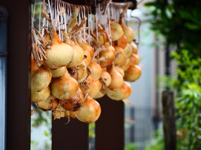 玉ねぎの正しい保存方法を管理栄養士が解説！冷蔵庫と干すのはどっちがいいの？ - くふう トクバイニュース