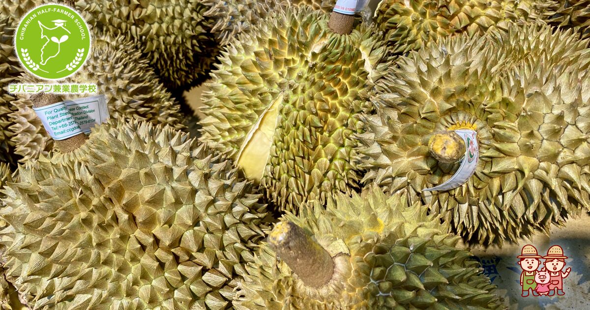 ドリアンの匂い＆味の正体は？栄養素とその効果・効能も解説マイナビ農業