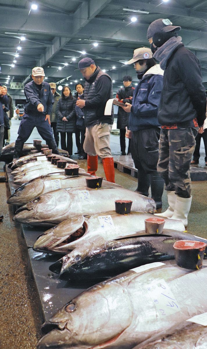 須崎魚市場セリ - 須崎市観光協会ホームページ