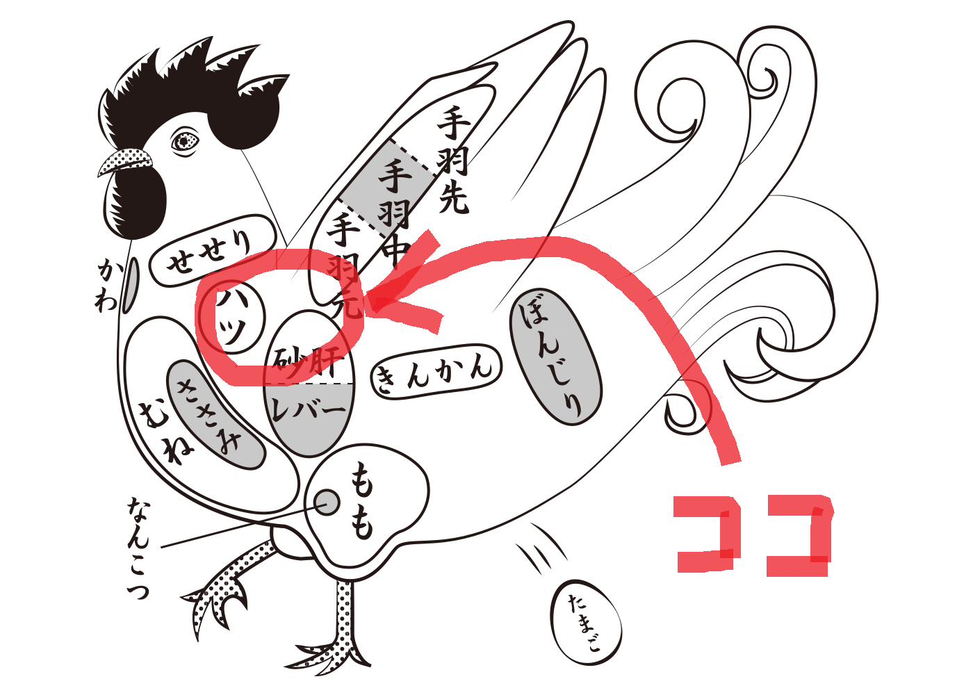 四万十鶏ふぁーむもも600g・むね600gと希少部位のおいしいとこ鶏セットプラス１ – 四万十鶏ふぁーむ通販サイト