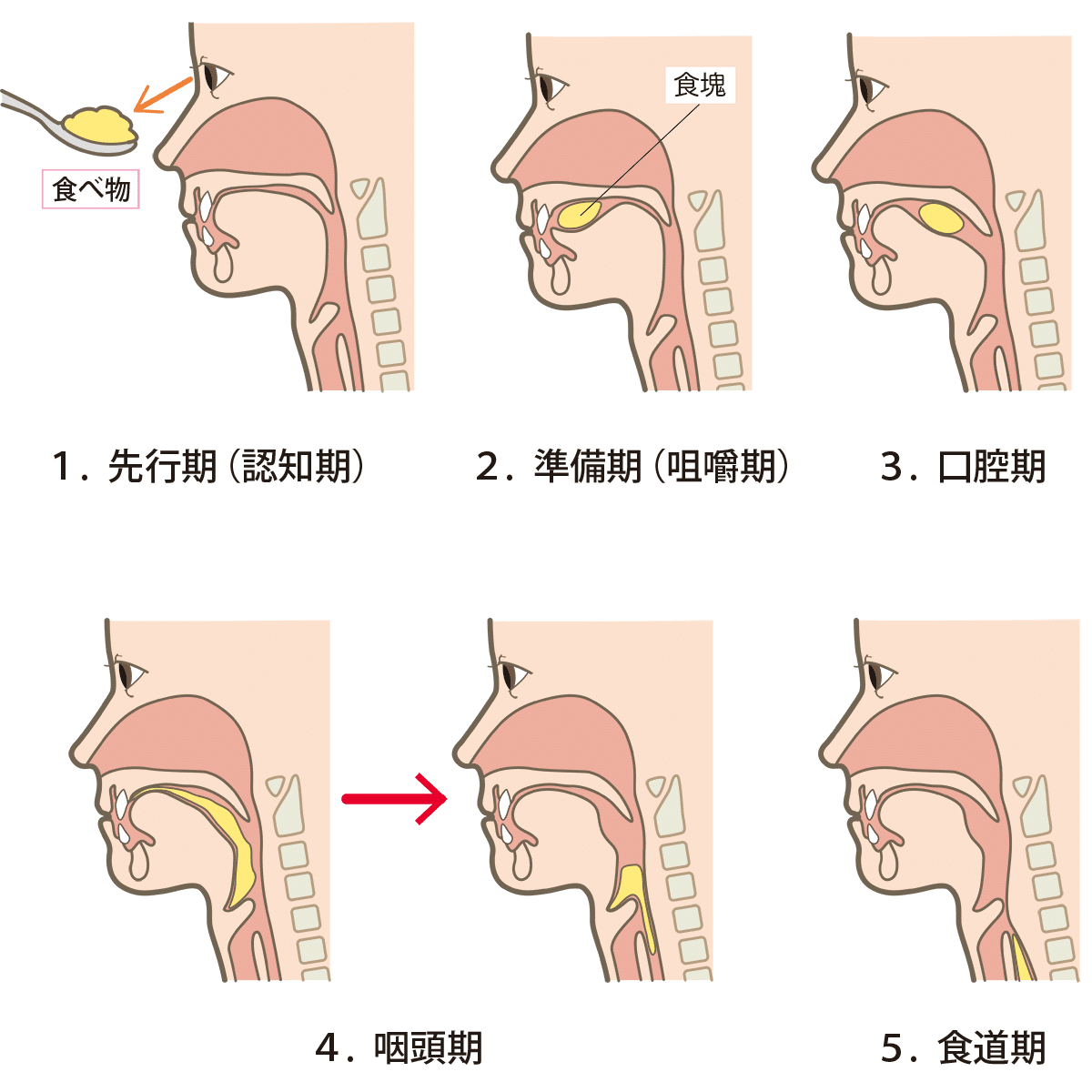 横になってお菓子を食べる女性のイラスト素材92829860- PIXTA