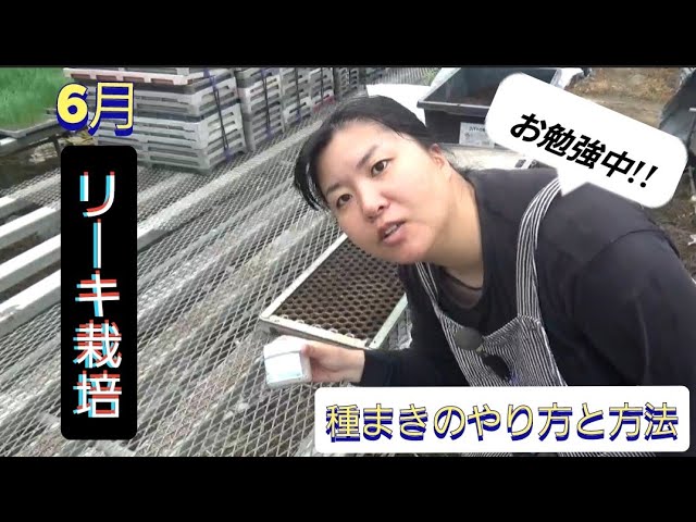 ネギ嫌い克服？！ 西洋ネギの”リーキ”を上手に使いこなす技3選食べチョク&more