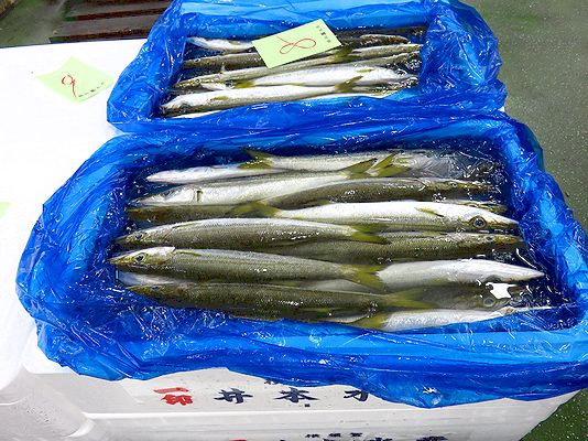 魚・肉に塩を振るタイミングは？料理初心者が間違えやすいポイント