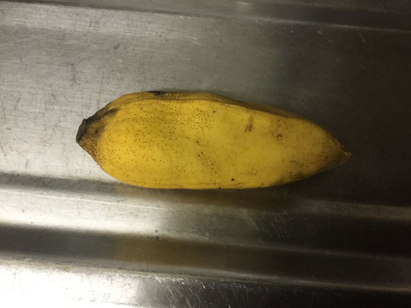 門川町観光協会 - バナナ？ 芭蕉？8 31Facebook