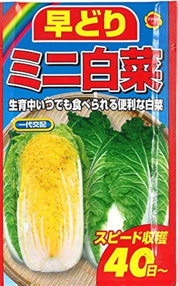 ミニ白菜 L業務用食材の仕入れなら八面六臂