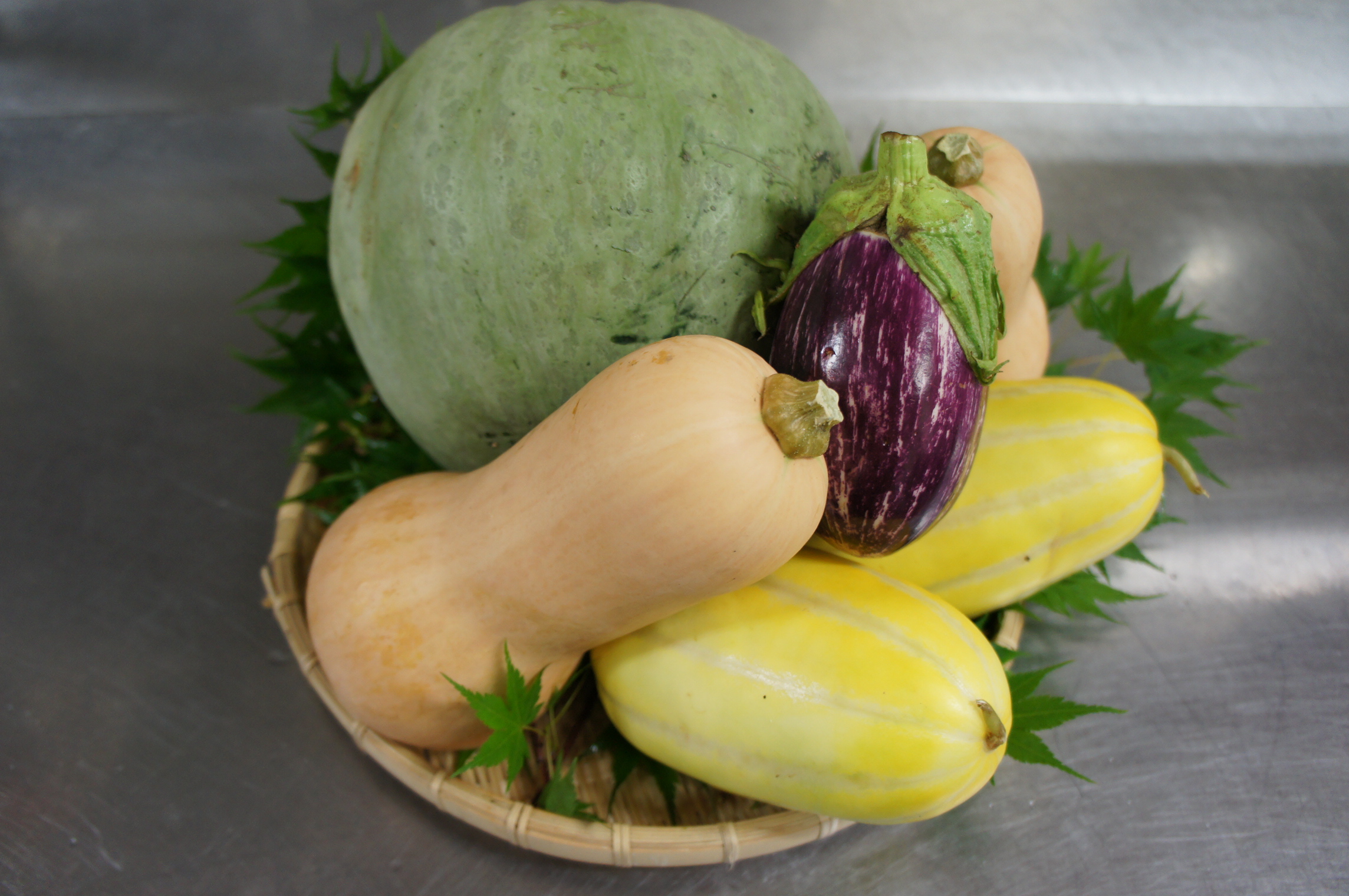 家庭菜園では珍しい夏野菜をタネから育ててみよう！ - 諏訪・松本・伊那Wealth Family Clubウエルスファミリークラブ