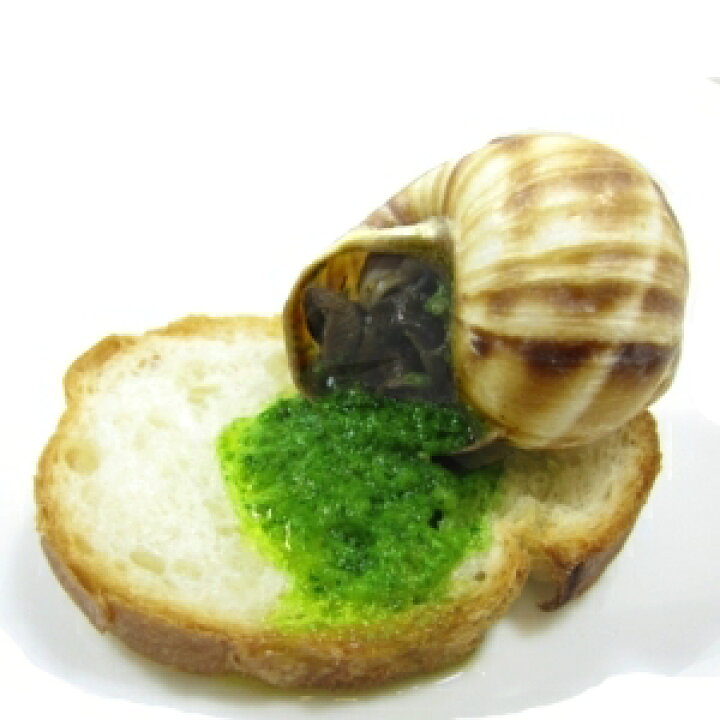 エスカルゴって気持ち悪い？食べられない？エスカルゴはどんな味？たべるご
