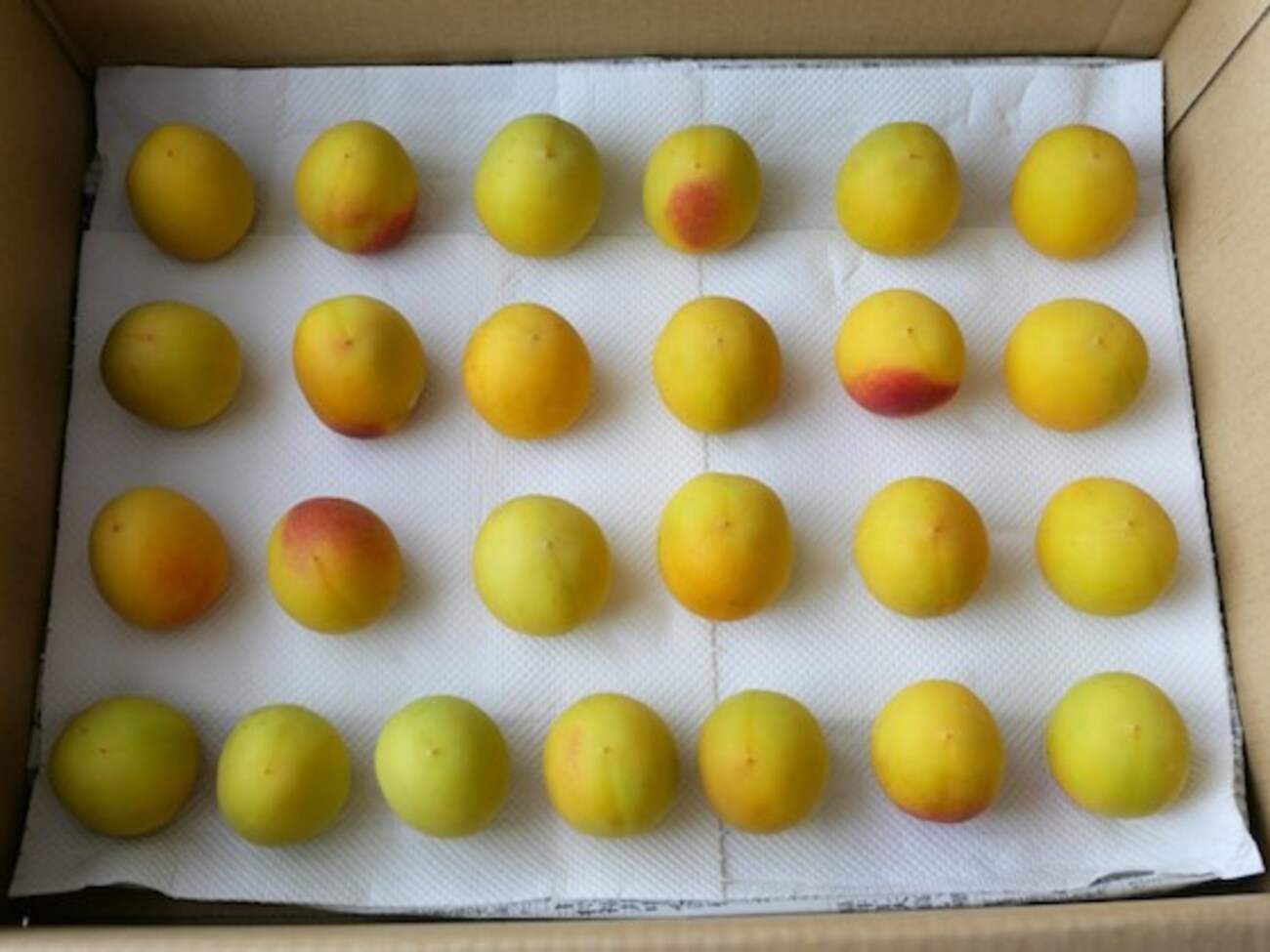 梅干しを作りましょうレシピ特集料理家 栗原はるみ レシピ・オンラインショップ 公式 ゆとりの空間