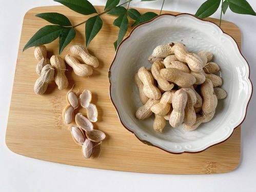 生の落花生の茹で方と保存方法 おすすめの食べ方も紹介！ほほえみごはん-冷凍で食を豊かに-ニチレイフーズ