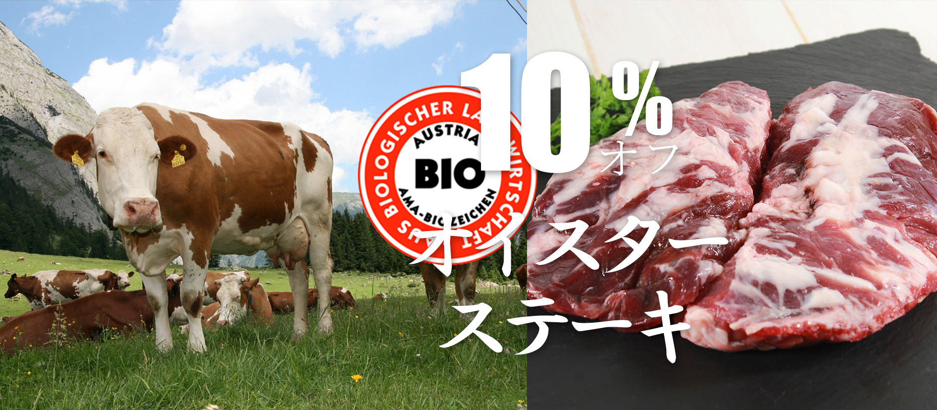 サーロインとテンダーロインの違いを徹底解説プロが教える選び方・味・おすすめの食べ方まで完全ガイド