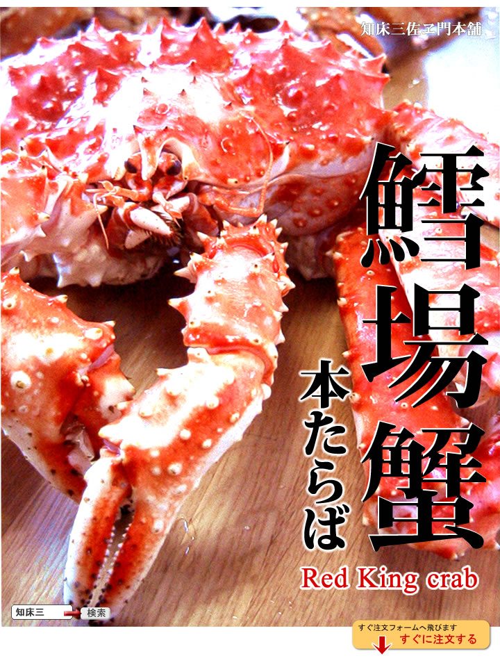 STAR kingcrab南大門・ソウル駅 ソウル のグルメ・レストラン韓国旅行「コネスト」