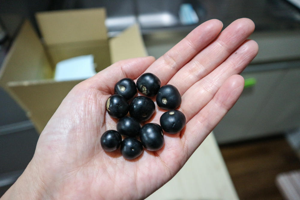 基本からアレンジまで！思わずつくりたくなる「ハックルベリー」のレシピ集クックパッド