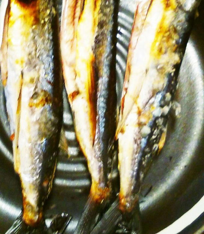 トビウオ魚との 清水富山湾の鮮魚・海鮮物等を産地直送でお届けする通販サイト