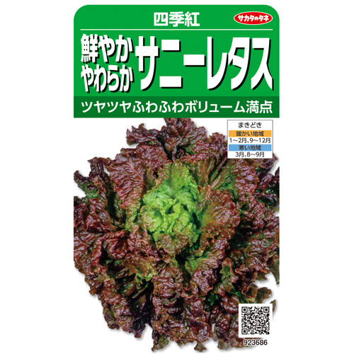 サニーレタス 実はあの野草と同じ仲間！レタスとキャベツは全く異なる野菜だった！？ - アタマの中は花畑