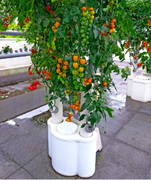 ◇喜六◇水耕栽培と養液栽培農業ドットコム