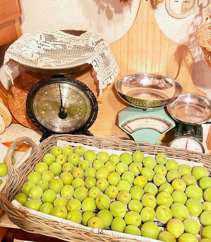 青梅の醤油漬け梅干梅子の365日梅ＬＩＦＥ