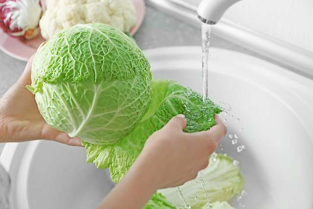 千切りキャベツ の保存方法使いやすさ抜群で長持ちさせるコツHugKum はぐくむ