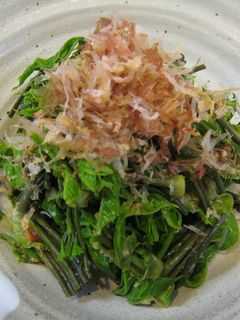 コシアブラ味噌、ほか : 春は築地で朝ごはん