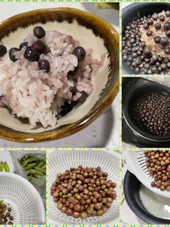 赤えんどうと鶏肉の煮込み