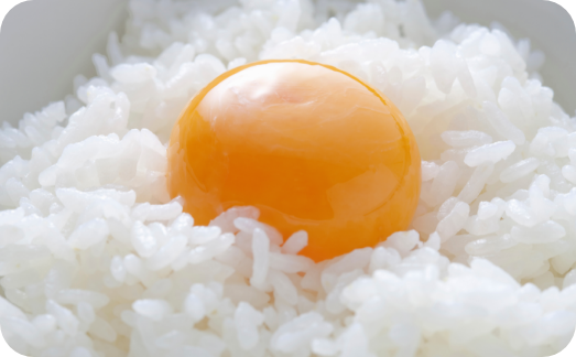 The Ultimate Guide to Tamago Kake GohanTKG : Including 15 ToppingVariationsSudachi
